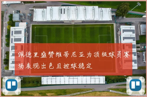 佩德里盛赞维蒂尼亚为顶级球员赛场表现出色且控球稳定