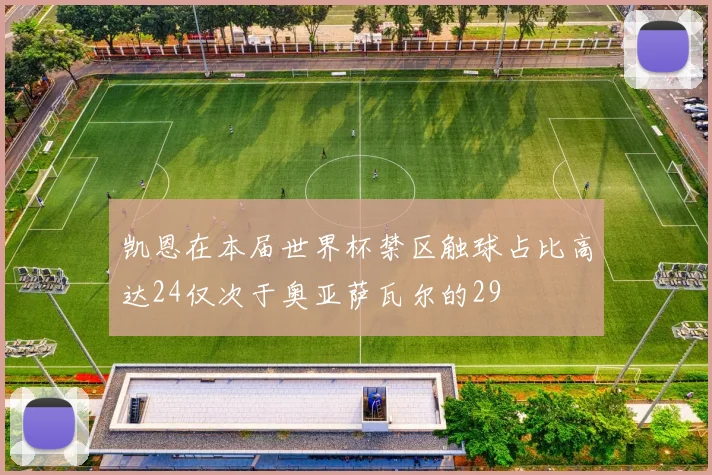 凯恩在本届世界杯禁区触球占比高达24仅次于奥亚萨瓦尔的29